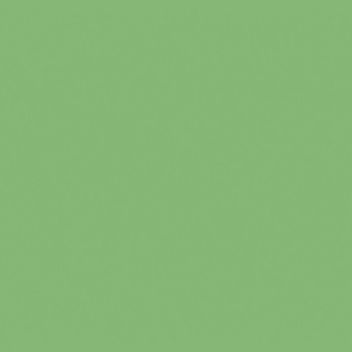 Плитка 94 салатный непол. 60x60 ESTIMA Your color арт. YC94