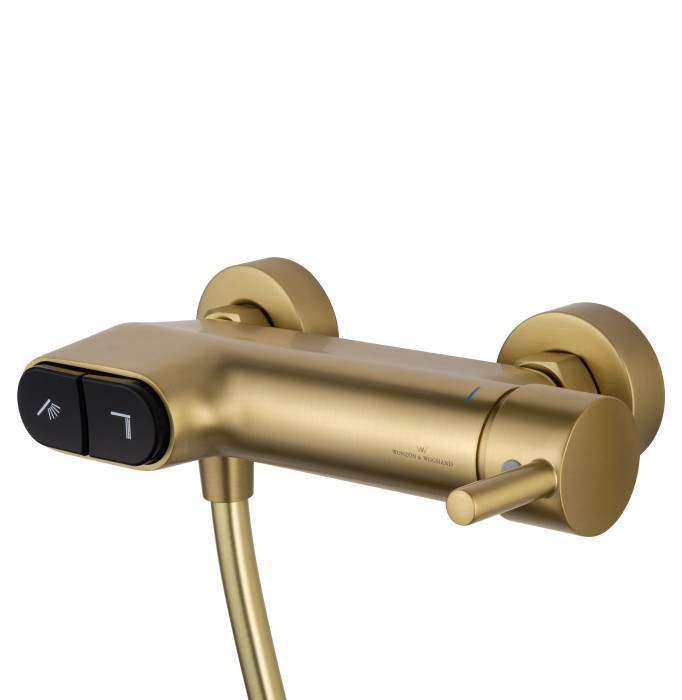 Смеситель для душа с встроенным изливом, Wonzon & Woghand Muse, WW-A30902-BG цвет: золото