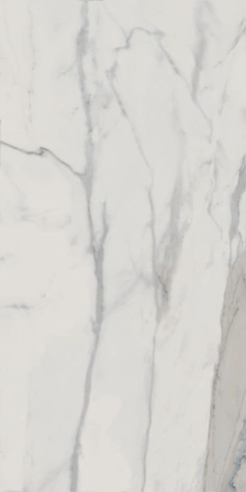 Плитка statuario polished 60х120 Edilcuoghi Edilgres Italian marble арт. n149496