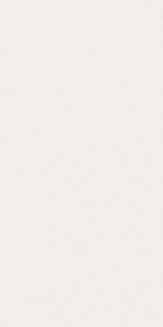Плитка white nplus 60х120 FANALCEYLAN Snow арт. n144897
