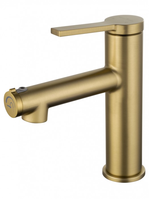 Смеситель для раковины с функцией полоскания, Wonzon &amp; Woghand, WW-H1017-BG цвет: золото