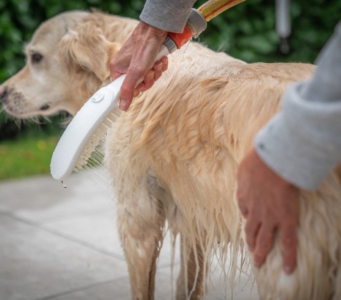 Душ для собак с массажной струей DogShower Hansgrohe, белый арт. 26640700