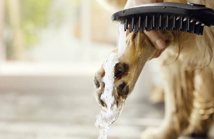 Душ для собак с массажной струей DogShower Hansgrohe, белый арт. 26640700