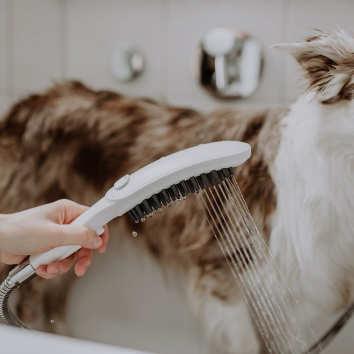 Душ для собак с массажной струей DogShower Hansgrohe, белый арт. 26640700
