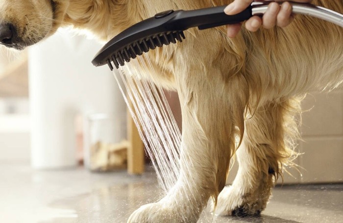 Душ для собак с массажной струей DogShower Hansgrohe, розовый арт. 26640560