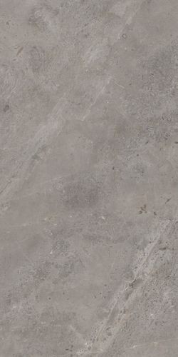Керамогранит Luish Gris 120x60 Stone Artcer арт. 000915