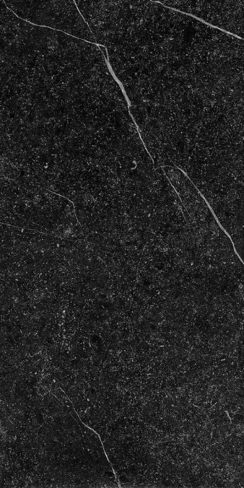 Плитка gnsg 12n rm 60x120 IMOLA Genus арт. n075455