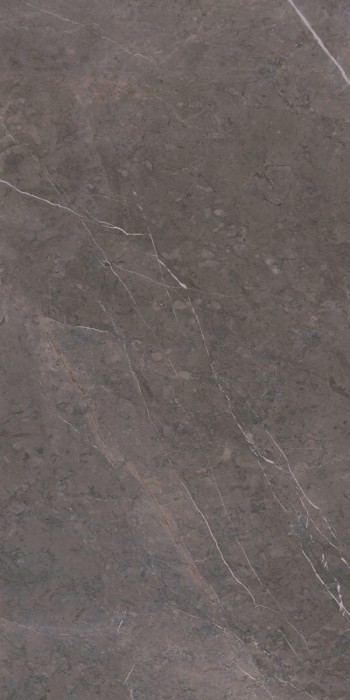 Плитка grey luc 60х120 ARIOSTEA Marmi classici арт. PL612528