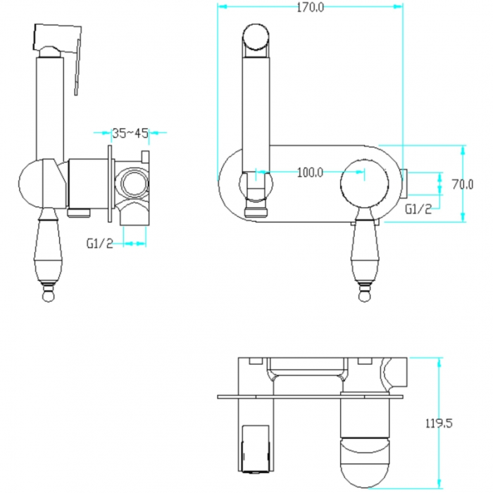 Гигиеническая лейка со смесителем, золото, Imperiale Boheme 425