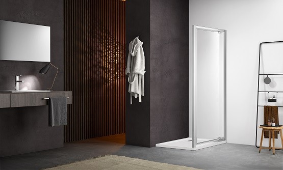 Душевая дверь стекло прозрачное, распашная 1000x2000 профиль хром, Aquatek арт. AQ ARI PI 10020CH