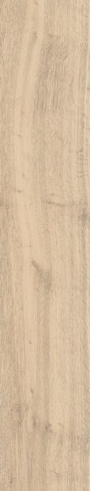 Плитка nplus rec. 22x118 FANALCEYLAN Heritage арт. n088172