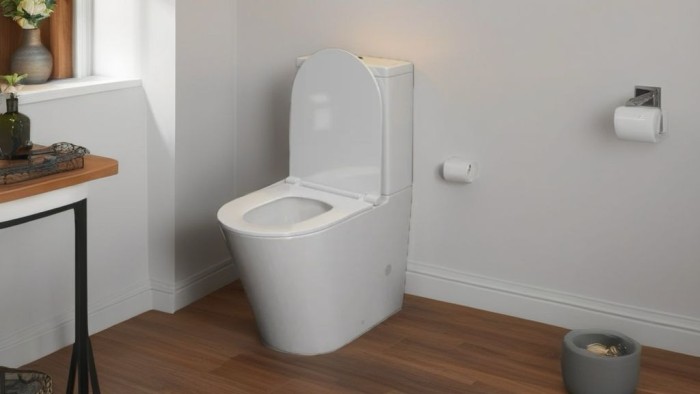 Унитаз-компакт напольный Lotis Petra L30560 сиденье микролифт,цвет белый