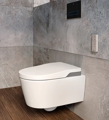 Унитаз подвесной Roca Inspira in-wash с биде, цвет белый глянцевый арт. 803060001