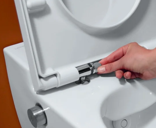 Унитаз подвесной Laufen Navia с биде, цвет белый арт. 8.2060.1.400.000.1