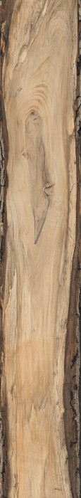 Плитка 24x150 SADON Sherwood арт. J90592