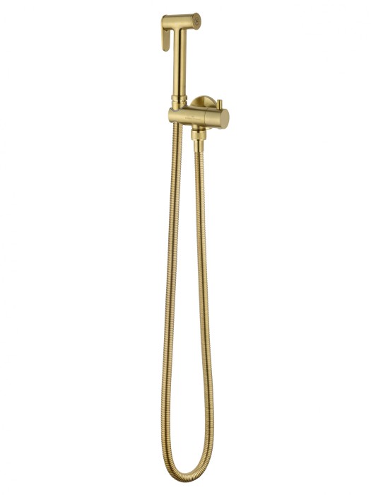 Модуль гигиенического душа для встраиваемых смесителей, Wonzon &amp; Woghand, WW-88809903-BG цвет: золото