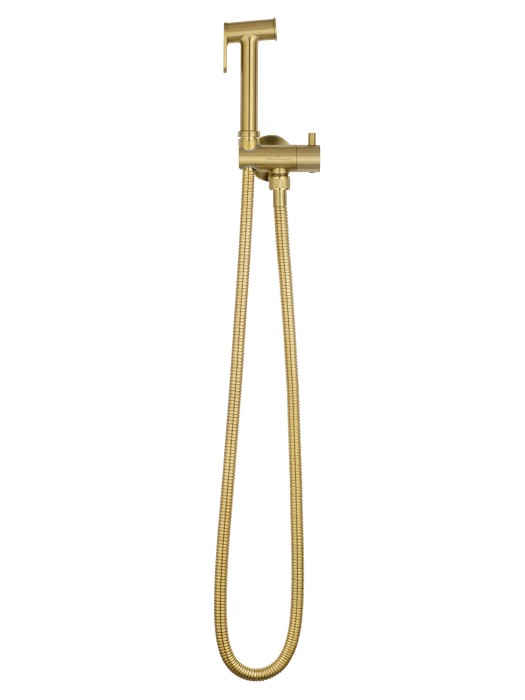 Модуль гигиенического душа для встраиваемых смесителей, Wonzon & Woghand, WW-88809903-BG цвет: золото