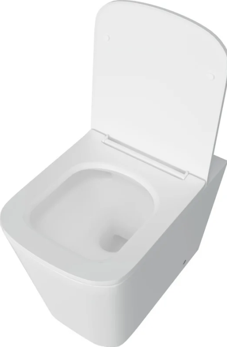 Унитаз приставной напольный Lotis Savanna L30562 сиденье микролифт,цвет белый