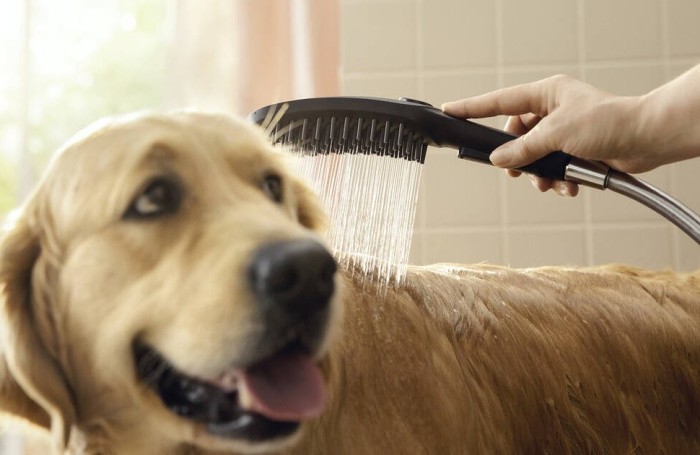 Душ для собак с массажной струей DogShower Hansgrohe, черный арт. 26640670