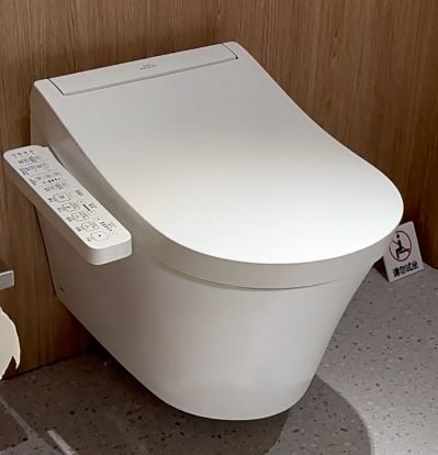 Унитаз подвесной TOTO GP CW553E безободковый, с сиденьем Washlet TCF33370, скрытое подключение, цвет белый