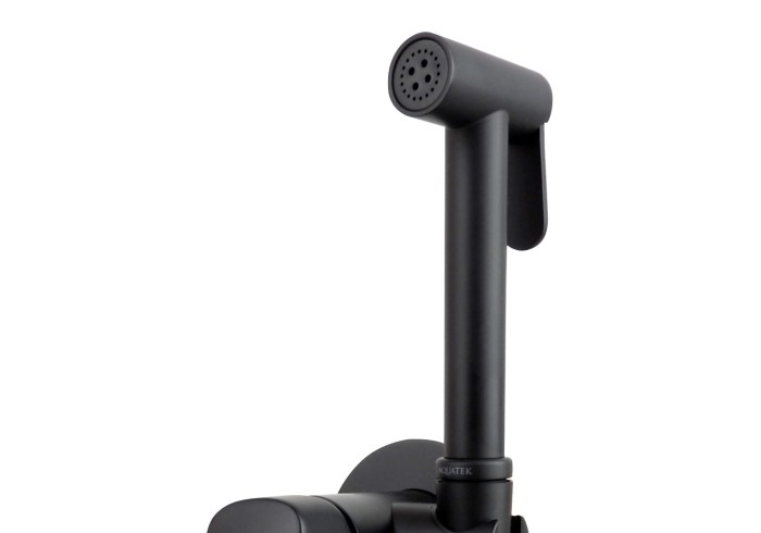 Комплект для гигиенического душа встроенный, Aquatek Вега, черный арт. AQ1019MB