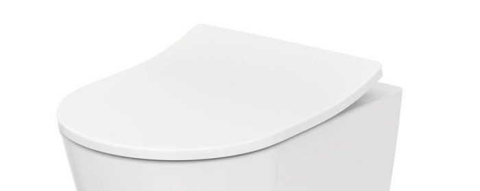 Сиденье с крышкой для унитаза, RP TOTO, TC513F цвет: белый