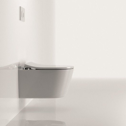 Сиденье с крышкой для унитаза, RP TOTO, TC513Q цвет: белый