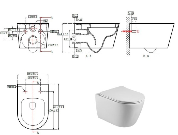 Унитаз подвесной, безободковый, с механизмом плавного закрывания Aquatek Бетта арт. AQ1253W-00