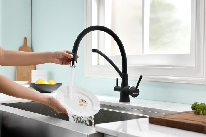 Смеситель для кухни  Paulmark SIEGEN, антрацит полностью - Si213111-401TB