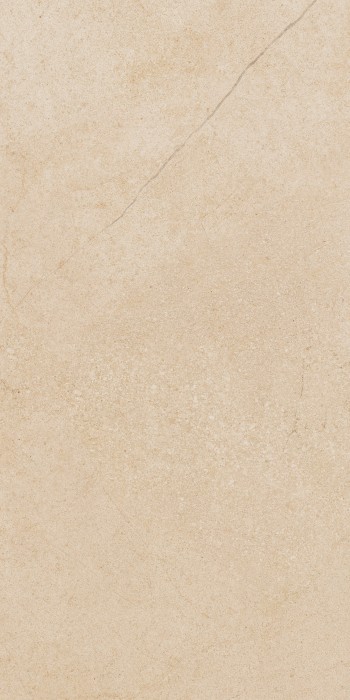 Керамогранит флэйр  60x120 Italon Контемпора арт. 610015000276