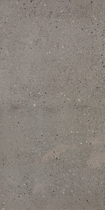 Плитка ovrc 12g rm 60x120 LEONARDO Overcome арт. n150513