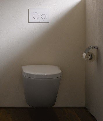 Подвесной унитаз, подвесной, NC/R TOTO, CW762B цвет: белый