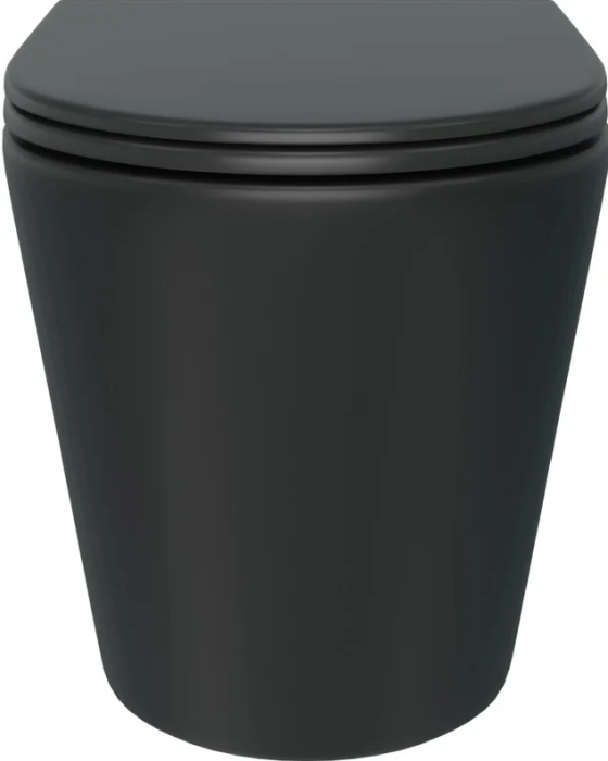 Унитаз подвесной Lotis Butler L1028 сиденье микролифт, цвет черный матовый