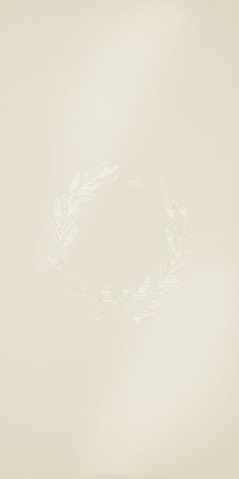 Плитка laurier fondo with fiber-glass   50x100 PETRACER'S Ad personam арт. TR LAURIER FON