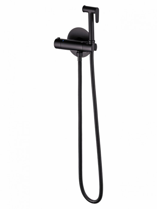 Смеситель с гигиеническим душем и термостатом встраиваемый, Wonzon &amp; Woghand, WW-88819902-BGM цвет: графит