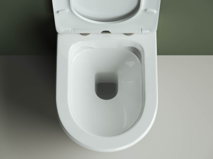 Подвесной унитаз с сиденьем Ceramicanova Highlight, белый арт. CN1804