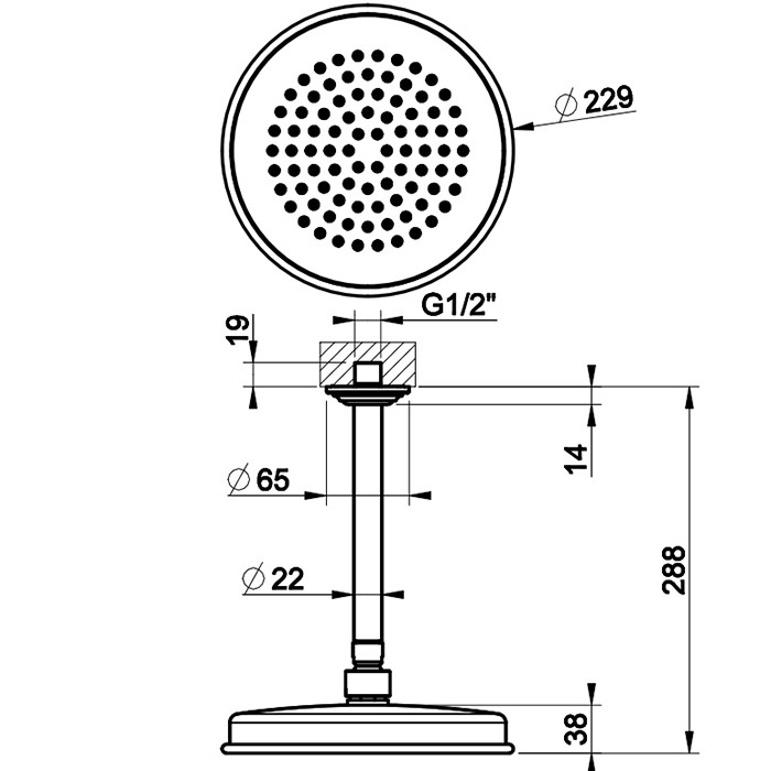 Верхний душ d20см., с потолочным держателем 28.8см., Gessi Venti20, nickel pvd арт. 65152#720
