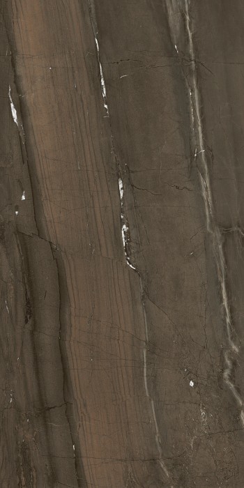 Плитка cr.lux jatoba brown 6 мм pol/rett 120x260 PAMESA Cr lux арт. 054.200.0109.09565