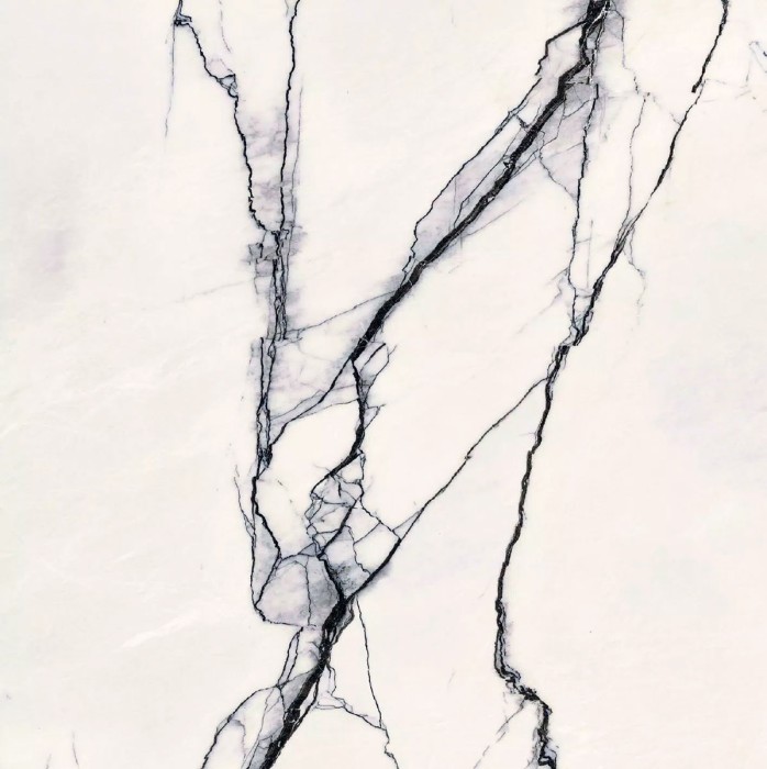 Плитка breach nat 120x120 Florim Magnum b&w marble арт. 765566