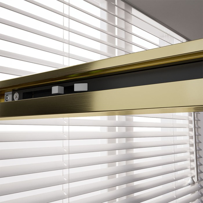 Душевая дверь 1200х2000, Veconi Premium Trento, брашированное золото, стекло прозрачное арт. PTD40-G-120-01-C4