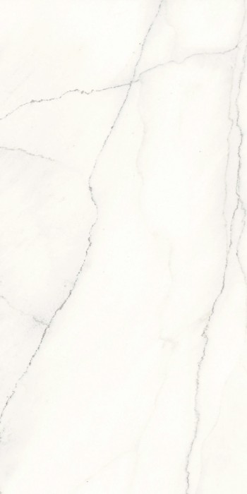 Плитка lincoln luc 60x120 ARIOSTEA Marmi classici арт. PL612523