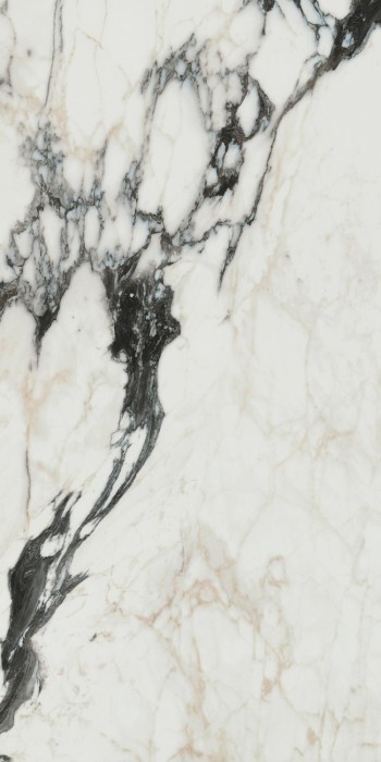 Плитка bijoux calacata altissimo glossy zz 60x120 Florim Les bijoux de rex арт. 766330