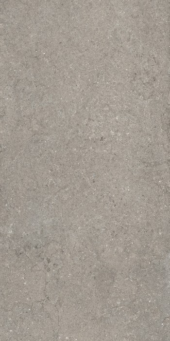 Керамогранит грэй рет 60x120 Italon Дискавер арт. 610010002728