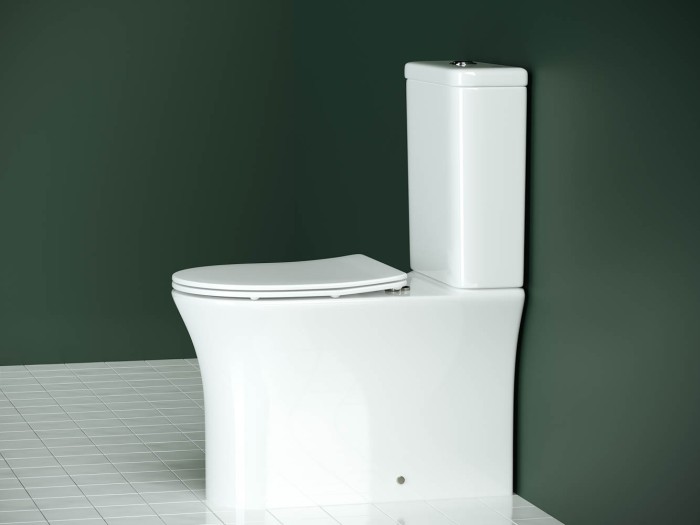 Унитаз с бачком и сиденьем Ceramicanova Star, белый арт. CN1904