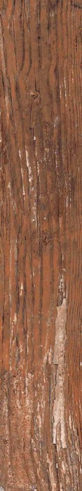 Плитка kiwi redroot mat 20x120 Alpas Euro Wood арт. n159008