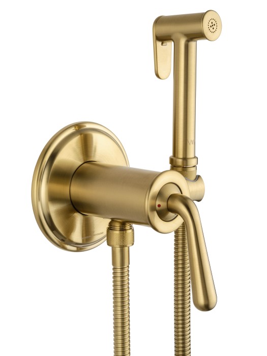 Смеситель с гигиеническим душем встраиваемый, Wonzon & Woghand Steam, WW-88829008-BG цвет: золото