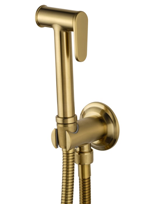 Смеситель с гигиеническим душем встраиваемый, Wonzon & Woghand Steam, WW-88849008-BG цвет: золото