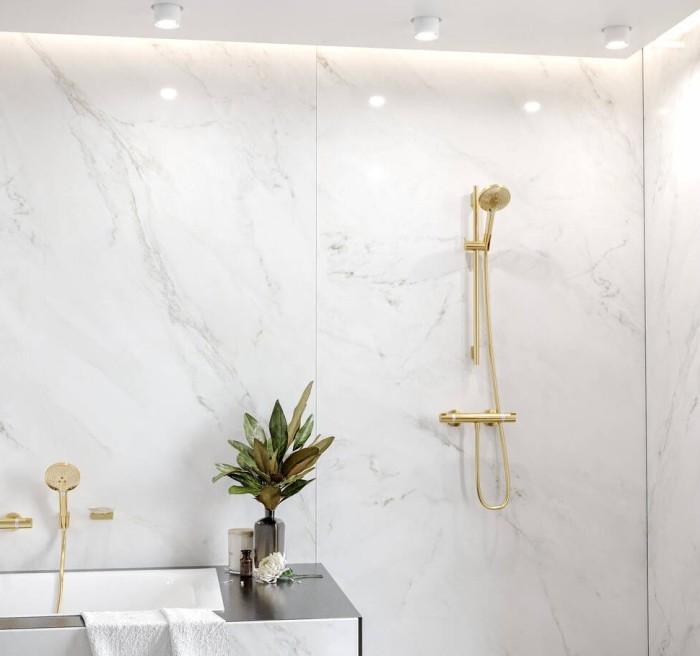 Ручной душ Raindance Select S Hansgrohe, золото арт. 26531990