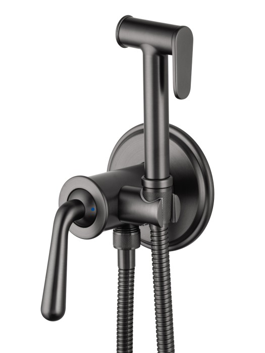 Смеситель с гигиеническим душем встраиваемый, Wonzon & Woghand Steam, WW-88829008-BGM цвет: графит