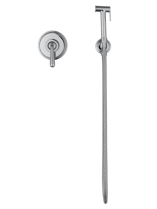 Смеситель с гигиеническим душем встраиваемый, Wonzon & Woghand Steam, WW-88849008-CR цвет: хром